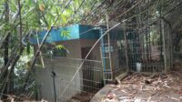 IMG-20230504-WA0101