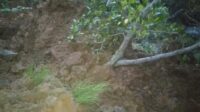 IMG-20230508-WA0144