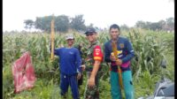 IMG-20230807-WA0245