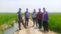 IMG-20230831-WA0177