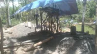 IMG-20231124-WA0102