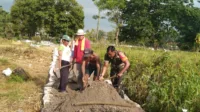 IMG-20240229-WA0403