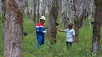 IMG-20240603-WA0107