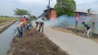 IMG-20240823-WA0447