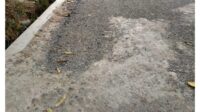 IMG-20240905-WA0144