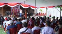 IMG-20241025-WA0046