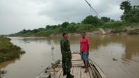 IMG-20241119-WA0028