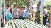 IMG-20250108-WA0101