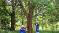 IMG-20250117-WA0134