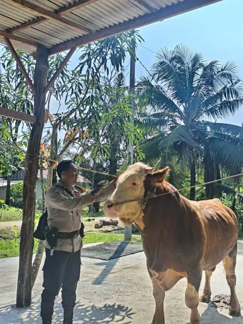 IMG-20250604-WA0089 (1)