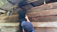 Polisi Tangkap 2 Pelaku Pembakaran Rumah Warga di Sri Gading