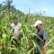 IMG-20260612-WA0149