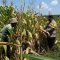 IMG-20260621-WA0291